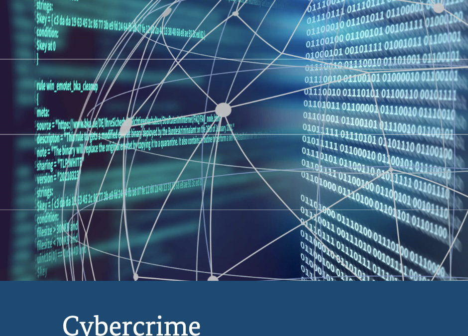 Kommentare zum BKA Cybercrime Report 2022