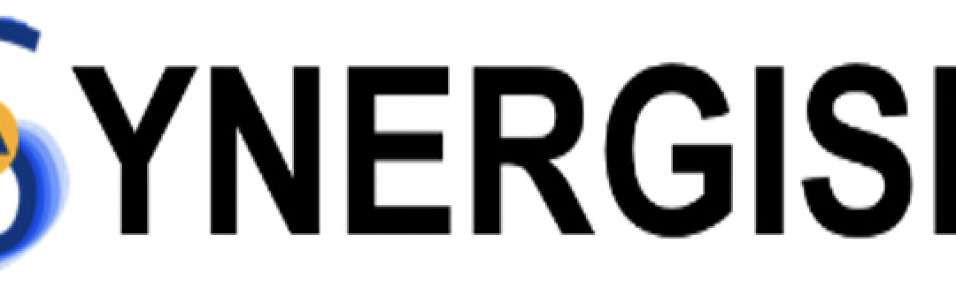 SYNERGISE for improved disaster management
