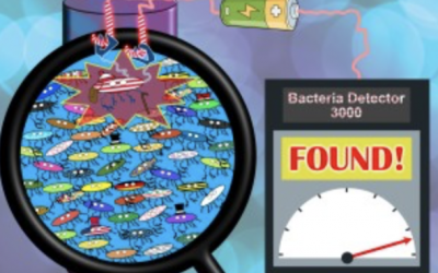 Neuer E-Sensor erkennt gefährliche Bakterien