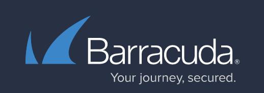 New CIO report from Barracuda shows: Six out of ten companies have difficulties managing cyber risksvv