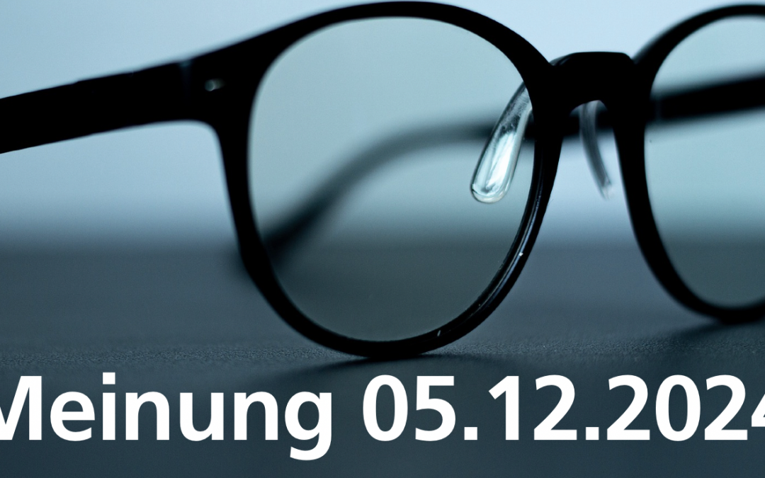 Schluss mit Illusionen: Binnengrenzkontrollen sind der Schutzwall gegen Chaos und Kriminalität