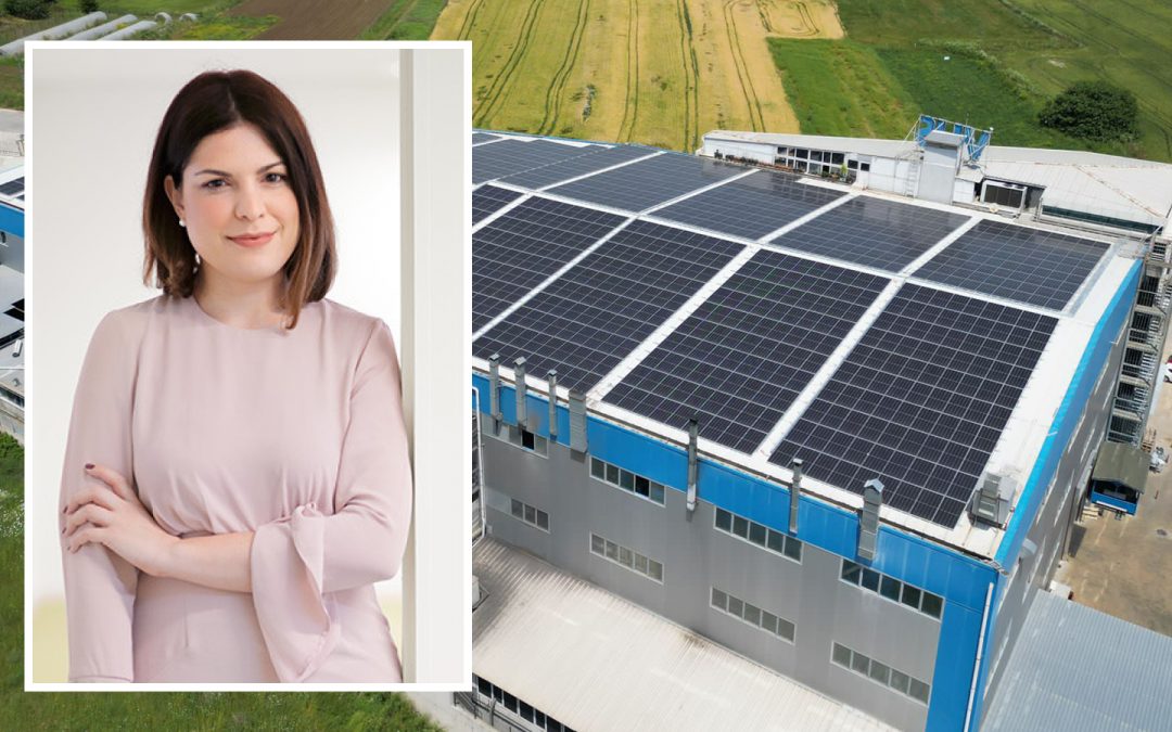 How sustainability inspires innovation and product design
