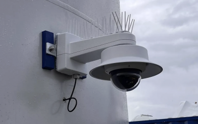 KI und Panorama-Kameras automatisieren Vogelschutz in Windparks